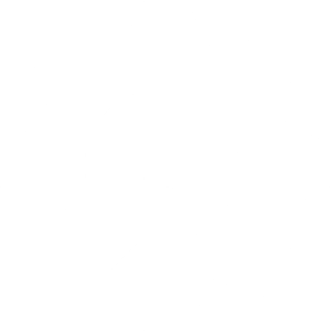 OpenMoto